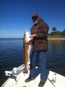 Forty inch redfish